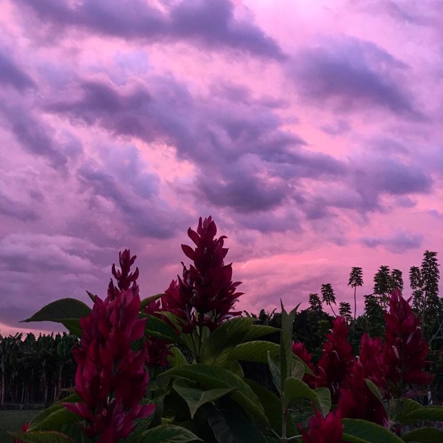 Finca Hotel Santana มอนเตเนโกร ภายนอก รูปภาพ